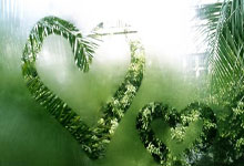 巴西队最新大名单藏着哪些看点？