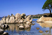 瑞典对阵斯洛伐克的最终比分是多少？